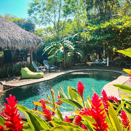 Glamping Hotel Flor Y Bambu Playa Grande Exterior foto