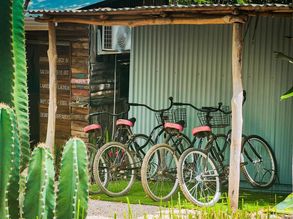 Glamping Hotel Flor Y Bambu Playa Grande Exterior foto