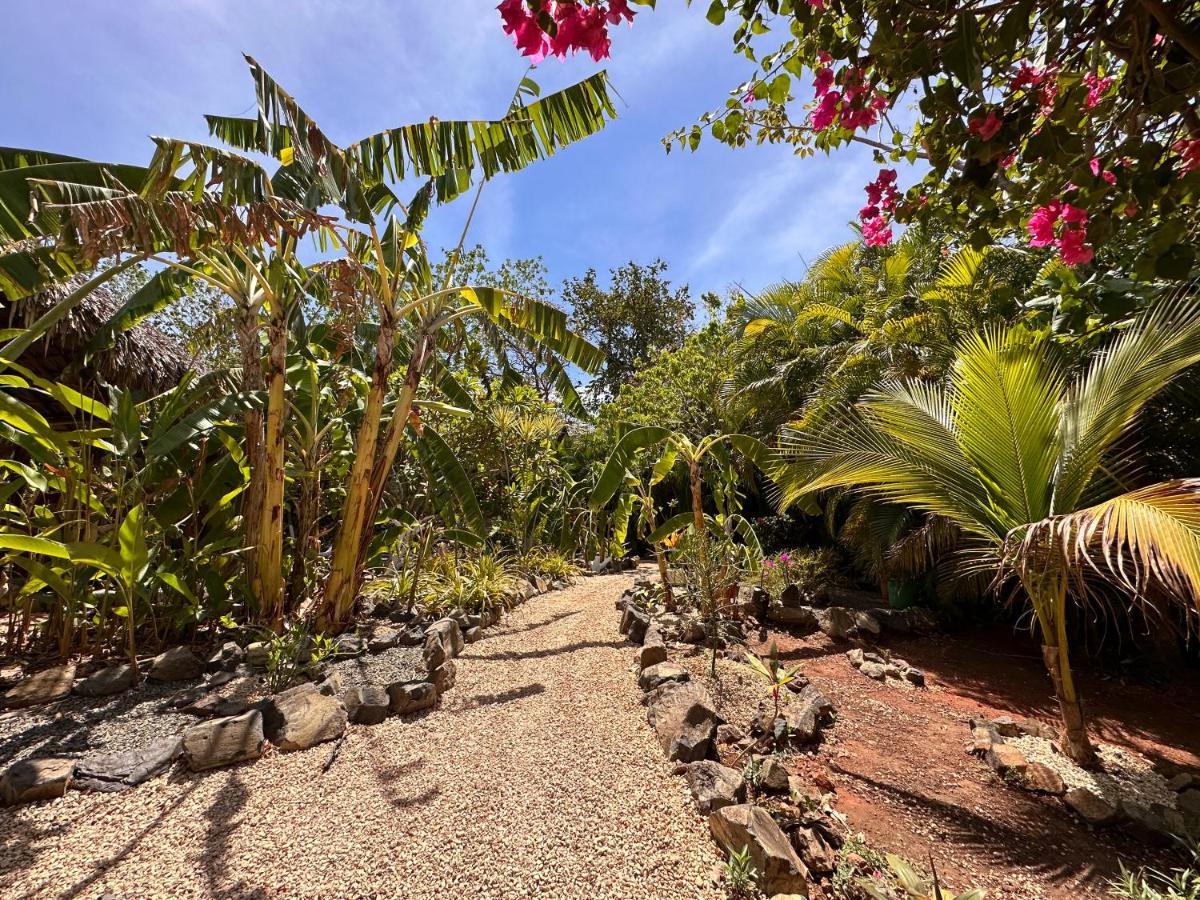 Glamping Hotel Flor Y Bambu Playa Grande Exterior foto