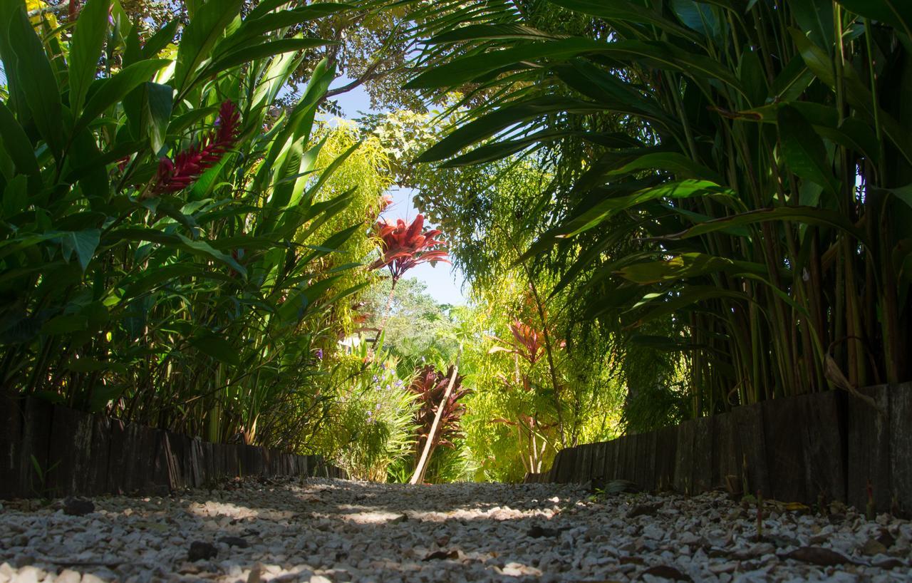 Glamping Hotel Flor Y Bambu Playa Grande Exterior foto